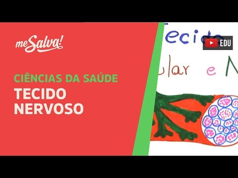 Me Salva! TMN04 - Tecido Nervoso: Neurônio - Histologia Humana