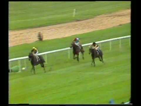 1983 Große Preis Winterfavoriten Lagunas