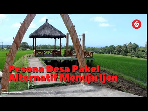 PESONA DESA PAKEL AKSES MENUJU KAWAH IJEN BANYUWANGI