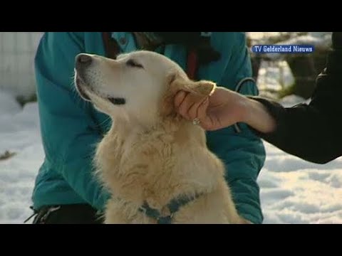 GLD Nieuws 30 december 2010 - Nieuws