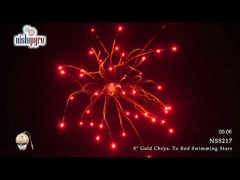 NS5217 - Gold Chrys. to Red Swimming Stars