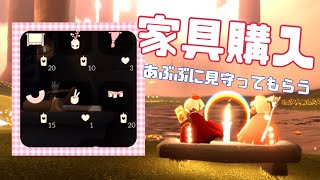 巣づくりの季節を進めていく！気になる家具も購入w【あぶぶに見守ってもらうよ】