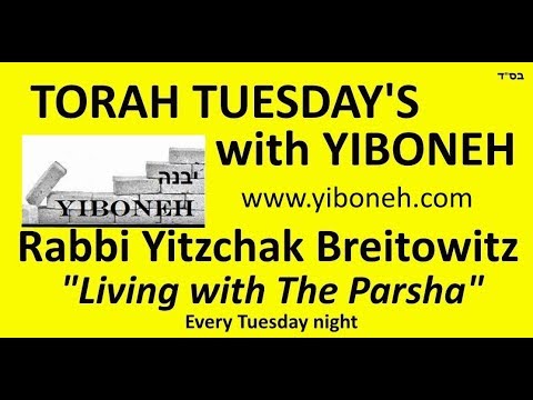 Rabbi Yitzchak Breitowitz - The Enigma of Yiftach and the Parah Aduma - Chukat 5778