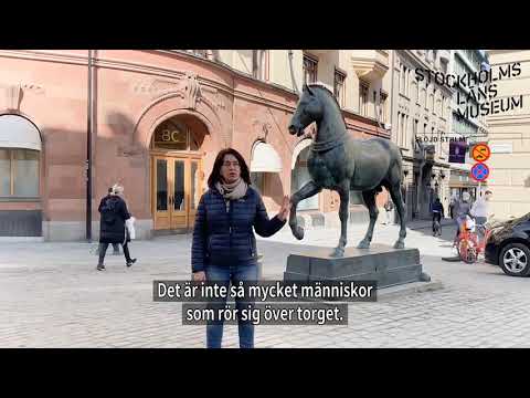 Upptäck länet – De bysantinska hästarna på Blasieholmstorg av Sivert Lindblom