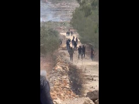 Israeli police make arrests after series of West Bank settler attacks