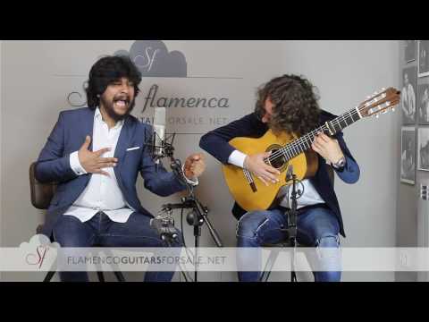 Rancapino Chico & El Perla in Solera Flamenca. "Seguiriya"