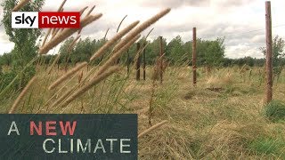 UK's land use must alter to limit climate change l A New Climate