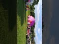 The Fun Fest Balloons In Kingsport Tennessee