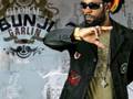 Bunji Garlin ft Chris Black - Swing it