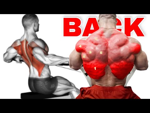 Treino Perfeito Para Dorsal Aumentando a Largura e Espessura das Costas