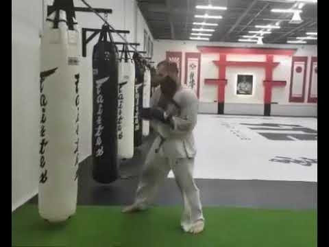 Alejandro Navarro Kyokushin Karate 🥋⛩ Spain 🇪🇸