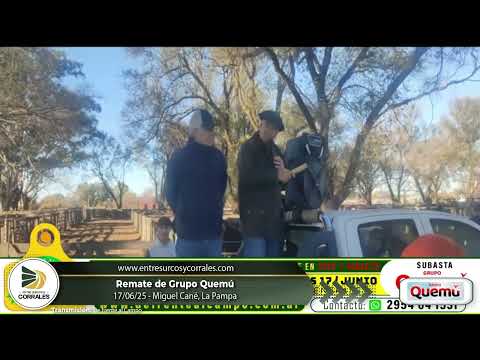 17-06-25  - Remate de Grupo Quemú - Miguel Cané, La Pampa