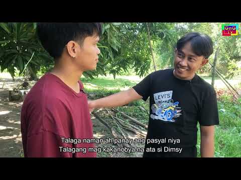 Dimsy Mercedes Episode #2