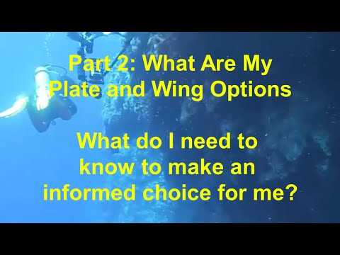 #49 - Part 2 - Backplate and Wing Systems:  What are my plate and wing options?