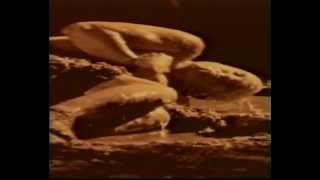 Morbid angel - Rapture (HQ music video)