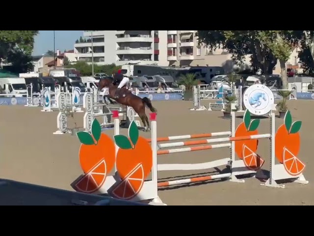 TOP JUMENT Amateur Elite 
