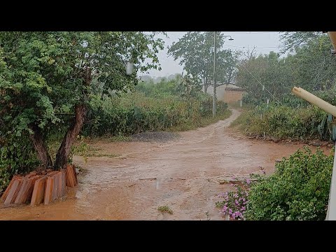 MANHÃ CHUVOSA ,AQUI NO MUNICÍPIO DE GADOBRAVO-PB.