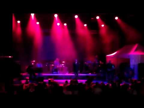 David Koller - Gypsy love