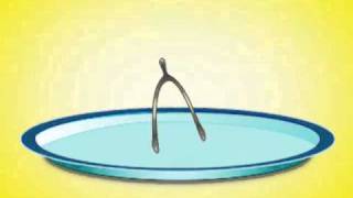 How to Make a Wish on a Wishbone
