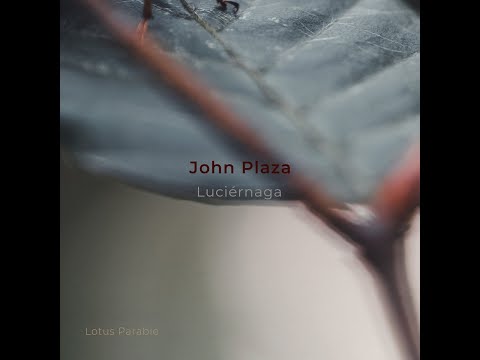 Indefinite Pitch PREMIERES. John Plaza - 365 [Lotus Parable]