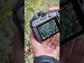 Nikonz30 Camera Shoot A Beautiful Flower Thanks For 4M View CreativeBoyAshwin