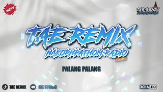 Download lagu PALANG PALANG - BUSTECH THAIREMIX บัสเทค - [ TAE REMIX ] | NAKORNPATHOM RADIO ( #แดนซ์มันส์ๆ ) mp3