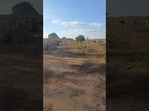 vendo barato em bodoco pe Tamanho 40 hectares 8799102 3154  / 8798183 2650