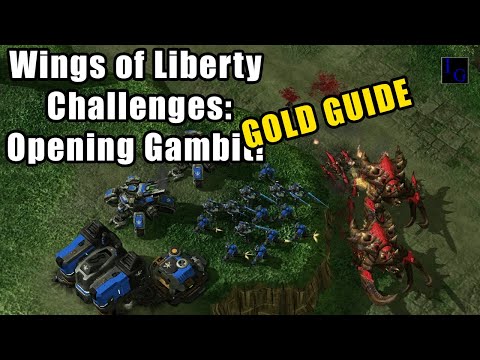 Opening Gambit GOLD GUIDE | Wings of Liberty Expert Challenge StarCraft 2 SC2
