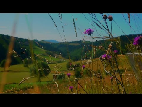 Srbija u kadru - Zlatar leto,Zlatarfest 2023