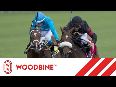 2019 Dance Smartly Stakes (Grade II): Woodbine, June 29, 2019 - Race 8