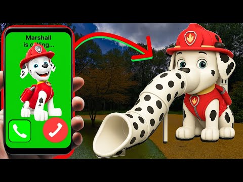 Curse of paw patrol slide eater in real life, story of Marshall transformation by Shlimpi