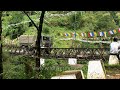 Youtube With Images