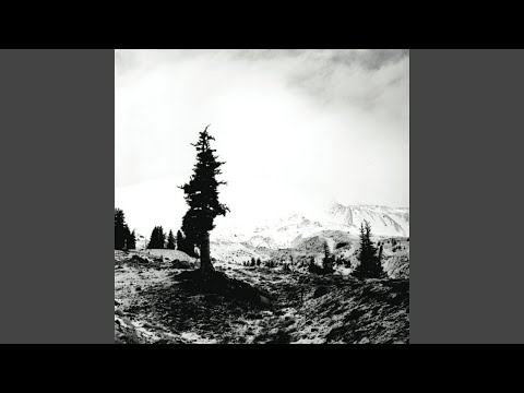 burn down everything