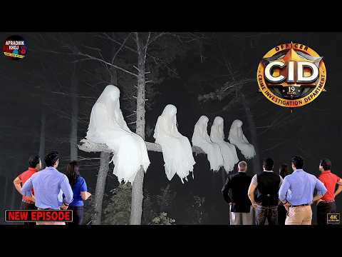 अंधेरे जंगल में CID टीम का पेड़ पर बैठी चुड़ैलों से सामना | CID | सी.आई.डी. | Latest Episode