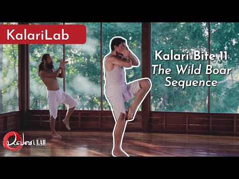 Kalari Bite 11 - The Wild Boar Sequence