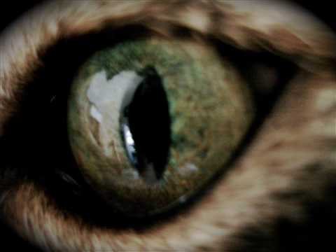 Hard Dance - I Don't Care