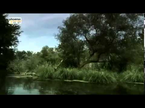 Nibelungen doku deutsch - Auf den Spuren Siegfrieds - Der Schatz der Nibelungen ganze Folge 2