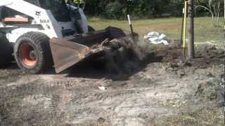 preview picture of video 'Bobcat for fill dirt, Tree transplanting 2, Pearlington, MS'