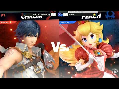 TSL 190 SSBU LR5 - TheThunderBuddy (Chrom) VS Horse (Peach)