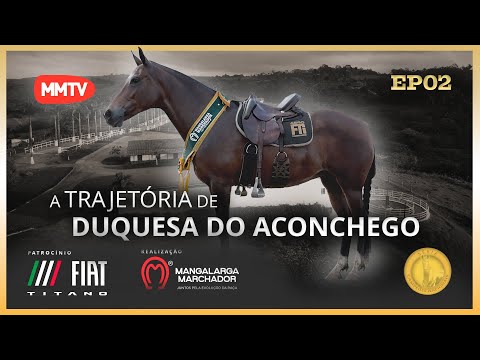 DUQUESA DO ACONCHEGO - THE TRAJECTORY OF A NATIONAL CHAMPION