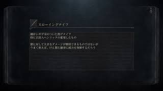 脳筋極振り&全ボス撃破目指します　5