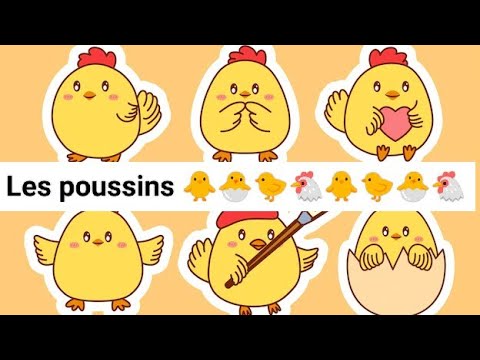 le petit poussin comptine 🐣🐤🐥