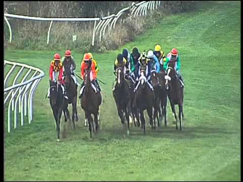 Galoppo 31/01/2016 - 5° corsa