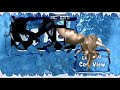 20th Century Fox Extreme Cool View 2002