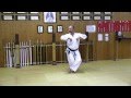 Tekki Nidan Bunkai Tekki Sandan Ablauf