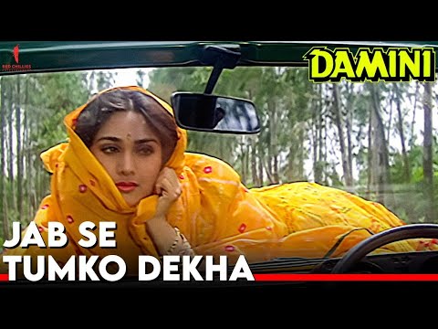 Jab Se Tumko Dekha | Damini | Full Song | Kumar Sanu, Sadhana Sargam | Rishi Kapoor