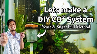 No More Doubts About DIY CO2 after this. Make Diffuser + Solution full method with Pros & Cons.