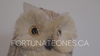 Fortunate Ones "Christmas Without You"