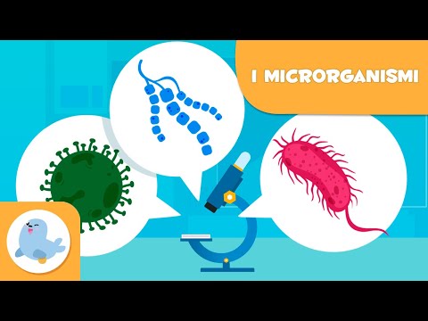 Cosa sono i microrganismi? - Batteri, virus e funghi per bambini