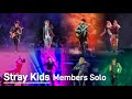 241103 Stray Kids 스트레이 키즈 Members Solo World Tour DominATE KAOHSIUNG